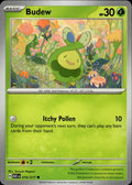 Budew ME: Ascended Heroes #016/217 Common