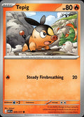 Tepig ME: Ascended Heroes #029/217 Common