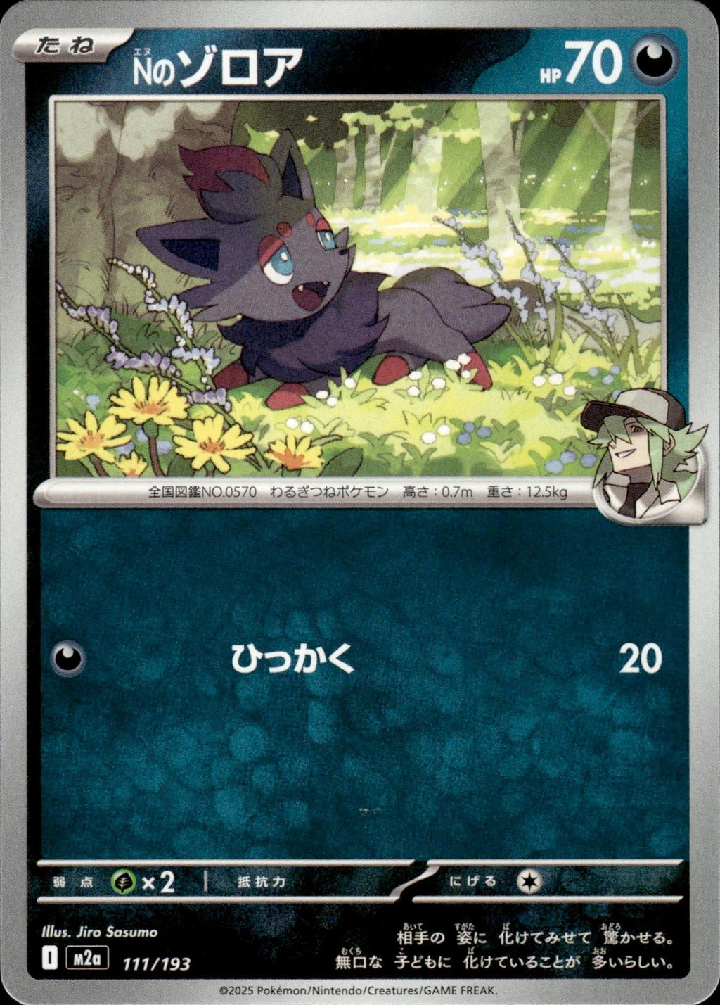 N's Zorua M2a: High Class Pack: MEGA Dream ex #111/193 Common, Japanese