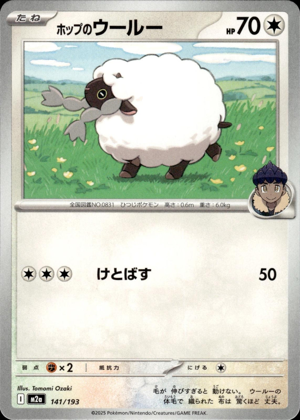 Hop's Wooloo M2a: High Class Pack: MEGA Dream ex #141/193 Common, Japanese